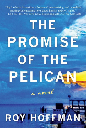 promise of the pelican cover