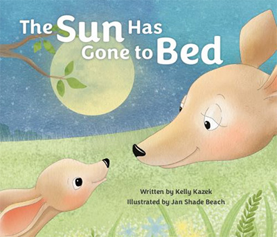 The Sun Has Gone to Bed book cover