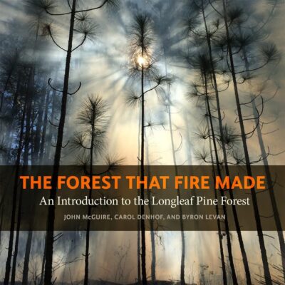 The cover of The Forest That Fire Made is a photograph of trees against a smoky sky