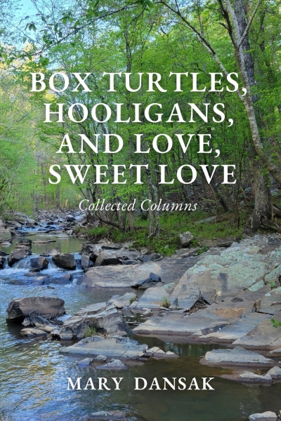 Cover of BOX TURTLES, HOOLIGANGS, AND LOVE, SWEET, LOVE by Mary Dansak. Title is shown in white font on top of an image of a river bank. Color field of greens, blues, greys, and browns.